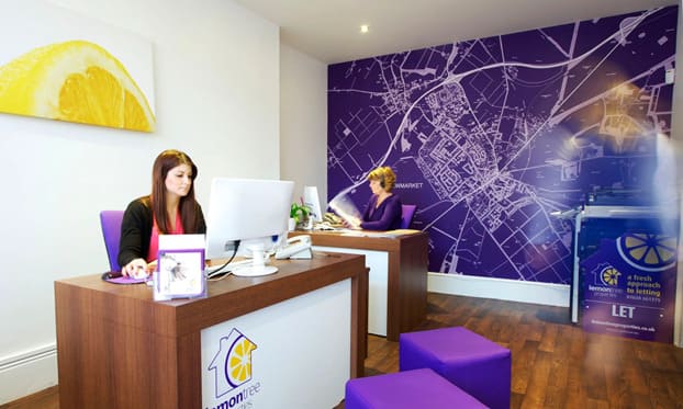 Что ждёт российский рынок фотообоев в 2026 году: от тренда к стратегии – фото №6