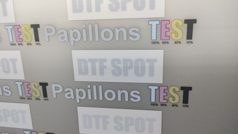 Принтер текстильный VOLK ДТФ 0,7 (XP600) 70 см, для ДТФ печати – фото 1