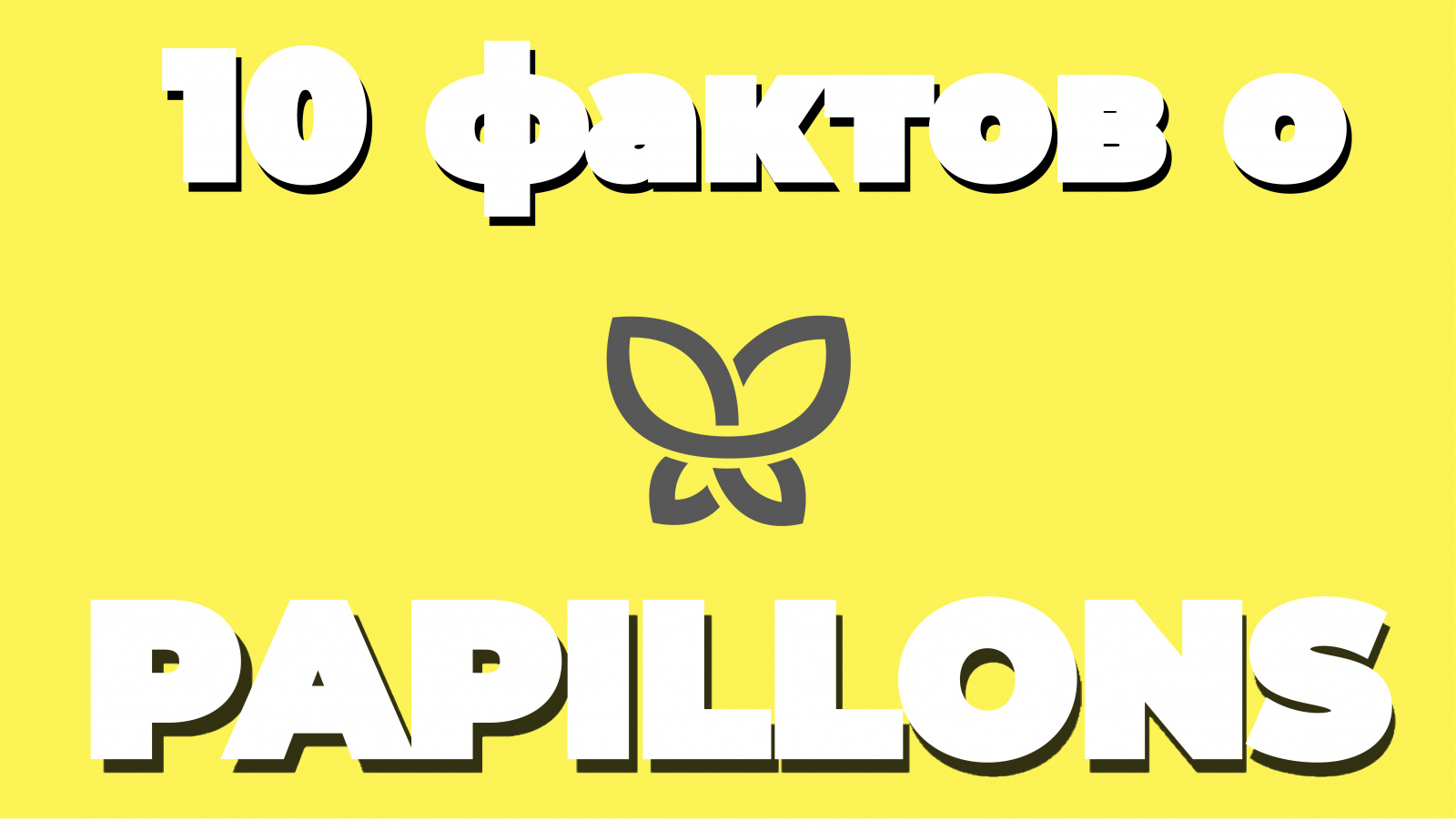 10 ФАКТОВ О ПАПИЛЛОНС