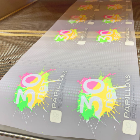 ДТФ комплекс VOLK НЕОН серии САЙНСТАР 0604 до 4ПГ 3200 (3ПГ в комплекте) + конвейерная сушка – фото 3