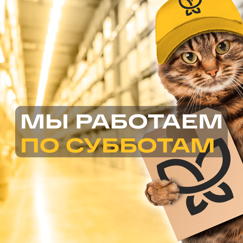 Теперь мы работаем по субботам! – фото 0