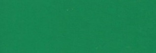 Изображение Термотрансферная пленка NOVA-FLEX 3 SECONDS 1504 зеленая, перенос при низкой температуре, 0,50 x 25 м