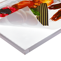 Пленка PET Бэклит 