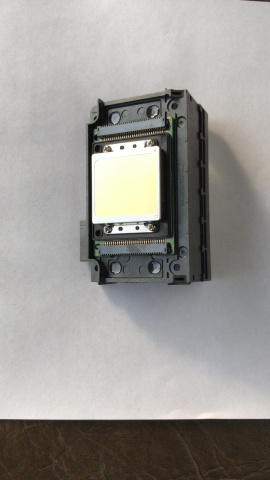 Печатающая голова XP600 Ф1080-A1 – фото 1