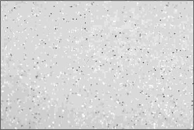 Изображение Термотрансферная пленка NOVA-FLEX GLITTER 6001 белая, сверкающая с блёстками, 0,50 x 5 м
