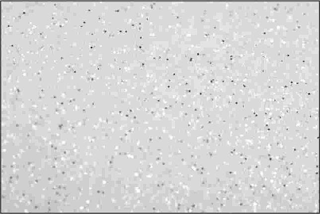 Изображение Термотрансферная пленка NOVA-FLEX GLITTER 6001 белая, сверкающая с блёстками, 0,50 x 5 м 