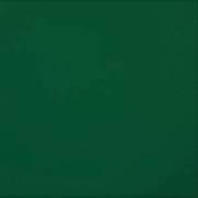 Изображение Термотрансферная пленка ПВХ для ткани DLC FLEX 04 зеленая, 0,51 x 25 м