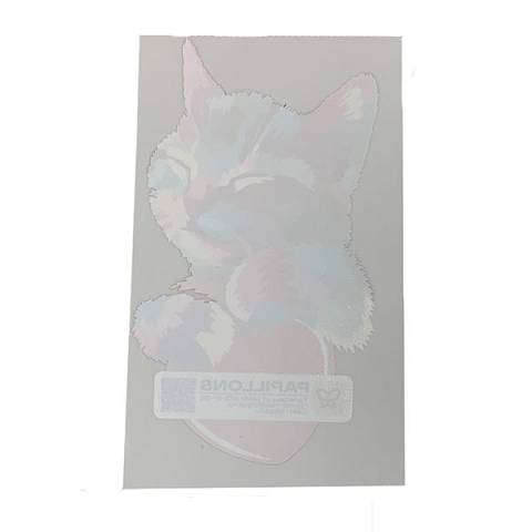 Изображение Пленка для DTF печати Hazak рулоная PET, матовая, двусторонняя, теплого отрыва, 0,3 м x 100 м
