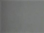 Изображение Термотрансферная пленка NOVA-FLEX PREMIUM 1012 серая, для резки, 0,50 x 25 м